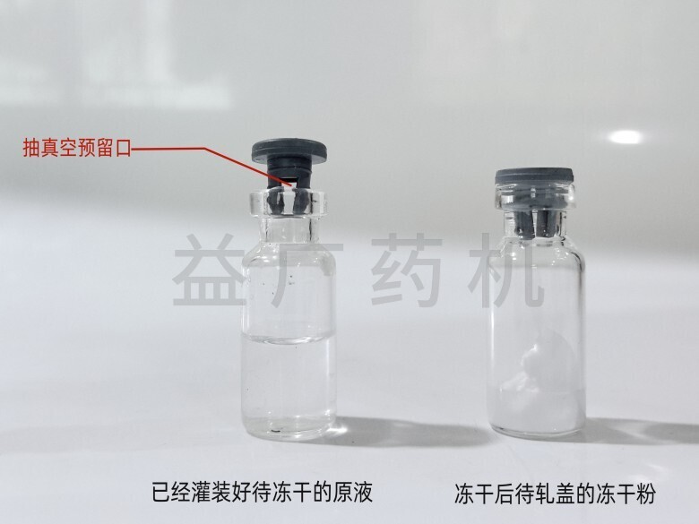 未凍干和凍干粉對(duì)比